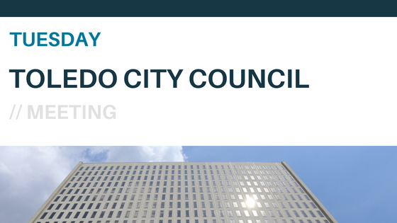 City Council Picture